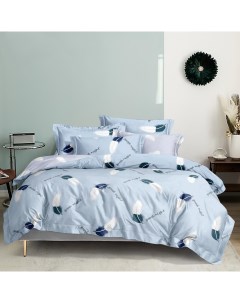 Комплект постельного белья Евро Перья на голубом Mency house