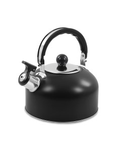 Чайник со свистком HE WK1602 черный матовый Home element