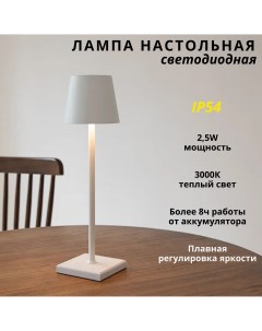 Лампа настольная светодиодная с аккумулятором 2 5Вт 3000К белая Fedotov
