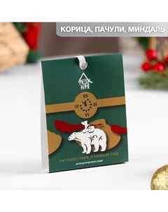 Саше Путешествие в Новый год ароматическое корица пачули миндаль Nobrand