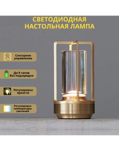 Лампа настольная светодиодная с аккумулятором 3Вт 2700 4200К бронзовый Fedotov