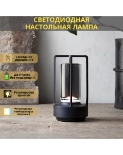Лампа настольная светодиодная с аккумулятором 3Вт 2700 4200К черный Fedotov
