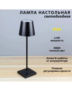 Лампа настольная светодиодная с аккумулятором 2 5Вт 3000К черная Fedotov