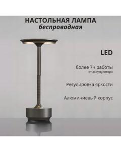 Лампа настольная светодиодная с аккумулятором 3Вт 3000К серый Fedotov