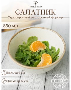 Салатник круглый Seasons POR0192 12 СМ Porland