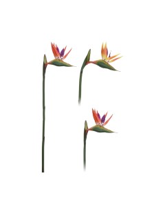 Искусственный цветок Tropic Тропики 20x2x80 см 1 шт Koopman international