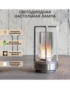 Лампа настольная светодиодная с аккумулятором 3Вт 2700 4200К серебряный Fedotov