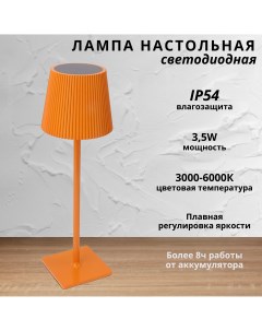Лампа настольная светодиодная с аккумулятором 3 5Вт 3000 6000К оранжевый Fedotov