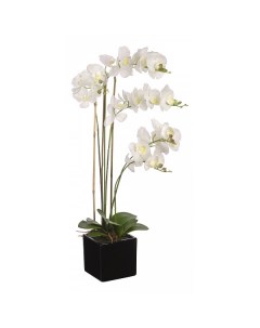 Искусственный цветок 80 см Белая орхидея YW 36 Engard