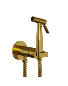 Гигиенический душ Castello Round CAPJ442R встраиваемый брашированное золото Paini