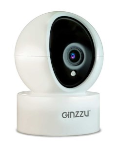 IP камера HWD 2301A Ginzzu