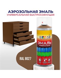 Универсальная аэрозольная эмаль глянцевая коричневый шоколад RAL 8027 Color1