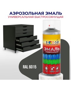 Универсальная аэрозольная эмаль глянцевая чёрно оливковый RAL 6015 Color1