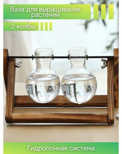 Гидропоника ваза стекло колба 2 штуки на деревянной подставке декор для дома флорариум Паприка-корица