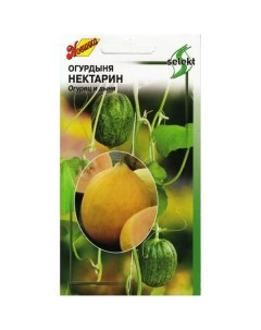 Семена огурдыня нектарин 20585 1 уп Дом семян