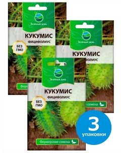 Семена Кукумис Фицифолиус 929353 3 3 упаковки по 8 сем Зеленый день