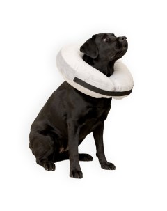 Защитный воротник для домашнего питомца серый ПВХ 35 58 см Mr. dog