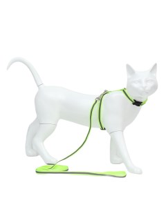 Комплект для кошек светоотражающий ширина 1 см шлейка 21 35 см поводок 120 см зелён Пижон