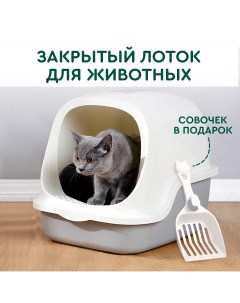 Туалет для кошек с совком и высоким бортом серый пластик 49х39х38 см Hans&helma