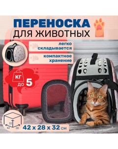 Переноска для животных сумка переноска для кошек и собак до 5 кг 42x26x35 см Solmax
