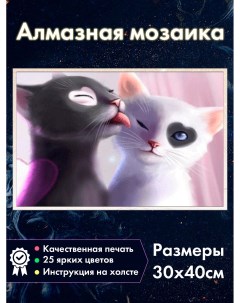 Алмазная мозаика Котики Черный кот и Белая кошка Fantasy earth