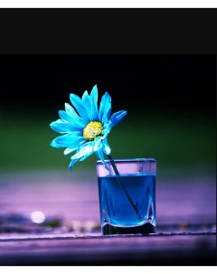 Алмазная мозаика Голубой цветок в стакане 15х20 см Ripoma