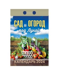 Календарь отрывной Сад и огород под луной 2024 год 7 7х14 4см Кострома