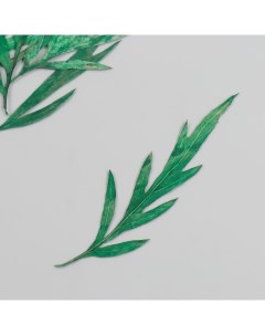 Сухоцвет Лист полыни горькой зелёный h 5 8 см 12шт Арт узор