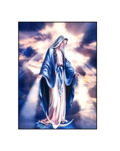 Алмазная мозаика картина стразами Дева Мария 00114462 30х40 см Nobrand