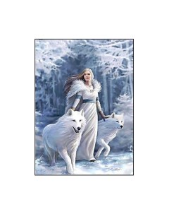 Алмазная мозаика картина стразами Девушка с волками 00114412 30х40 см Nobrand