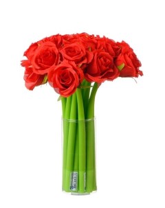 Шариковая ручка Красная роза МС 5367 10 штук Basir