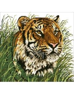 Алмазная мозаика Уссурийский тигр 48х45 см Алмазная живопись