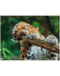 Алмазная мозаика Свирепый леопард 30х40см Рыжий кот