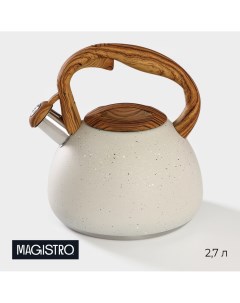 Чайник со свистком из нержавеющей стали stone 2 7 л ручка soft touch индукция цвет бежевый Magistro