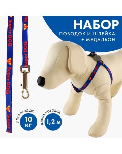 Комплект super dog шлейка 26 39 см поводок 120х1 см медальон Пушистое счастье