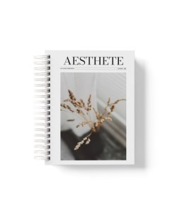Ежедневник Aesthete02 с дополнительной пластиковой обложкой Omarie