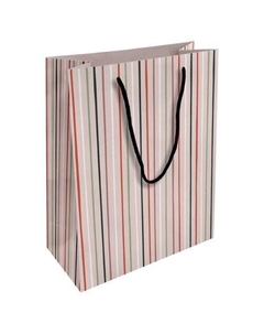 Пакет подарочный Pretty бумажный, 25 х 32 см, полоски Be smart