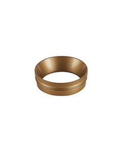 Декоративное металлическое кольцо для светильника DL20151 Donolux