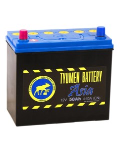 Автомобильный аккумулятор Asia 50 Ач прямая полярность B24R Tyumen battery