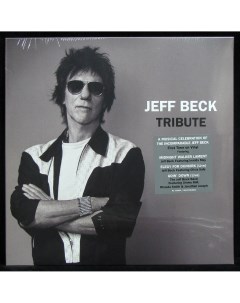 Jeff Beck Tribute LP Plastinka.com