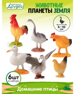 Игровой набор Домашние птицы Животные планеты Земля 6 фигурок JB0207201 Компания друзей
