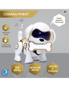 Собака робот интерактивная Чаппи звуковые и световые эффекты ходит цвет золотой Iq bot