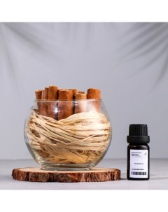 Набор ароматический ваза саше с корицей ароматическое масло Океанский бриз 10 мл 79992 Nobrand