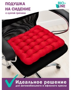 Подушка на стул 40х40 см с гречневой лузгой цвет красный Bio-line
