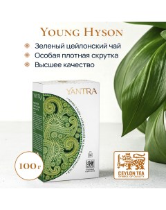 Чай зеленый листовой Классик стандарт Young Hyson 100 г Yantra