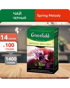 Чай Спринг Мелоди 100 г 14 шт Greenfield