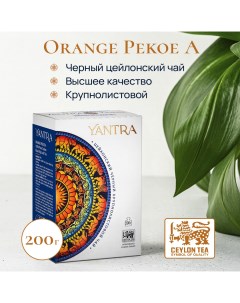 Чай черный крупнолистовой Классик стандарт OPA 200 г Yantra