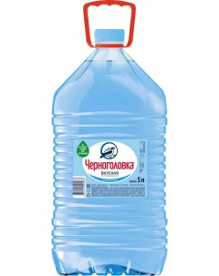 Вода артезианская Черноголовская негазированная пластик 5 л Черноголовка