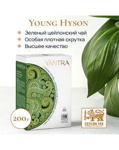 Чай зеленый листовой Классик стандарт Young Hyson 200 г Yantra