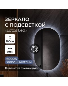 Зеркало в ванную Lotos ЗЛП4076 с холодной подсветкой овальное настенное 60х100 Tairikudo